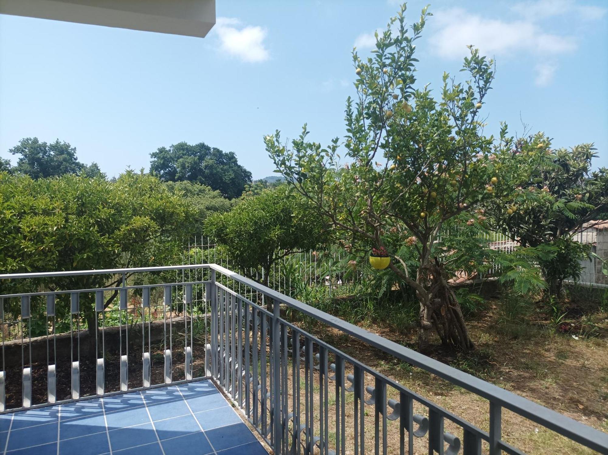Villa Giardino Degli Oleandri Palinuro Bagian luar foto