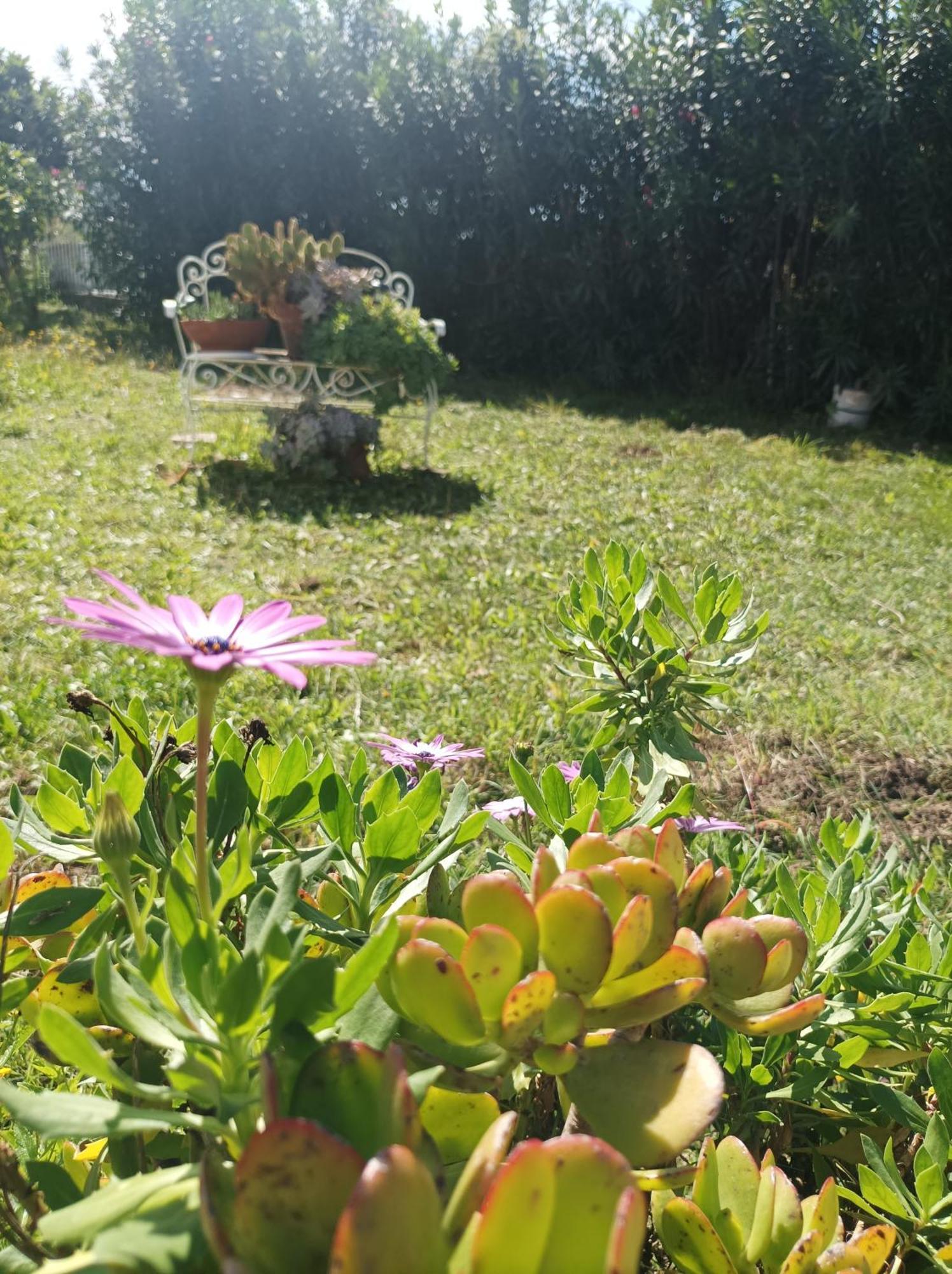Villa Giardino Degli Oleandri Palinuro Bagian luar foto